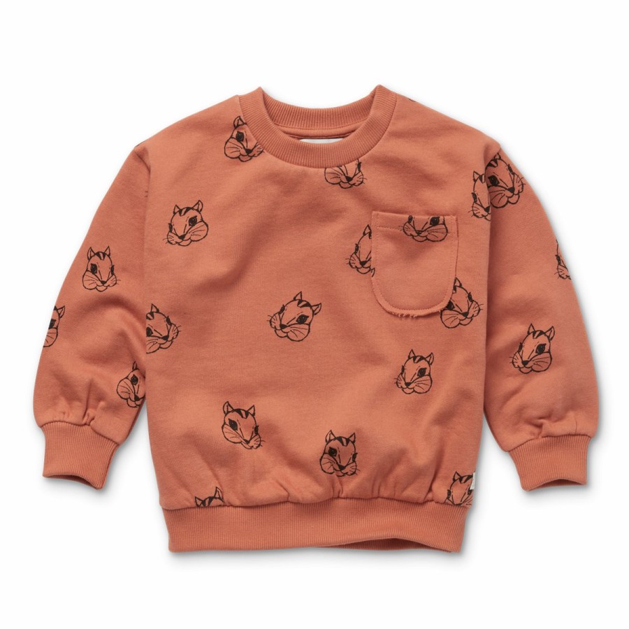 Clothing Sproet & Sprout | Sproet & Sprout Sweatshirt Squirrel