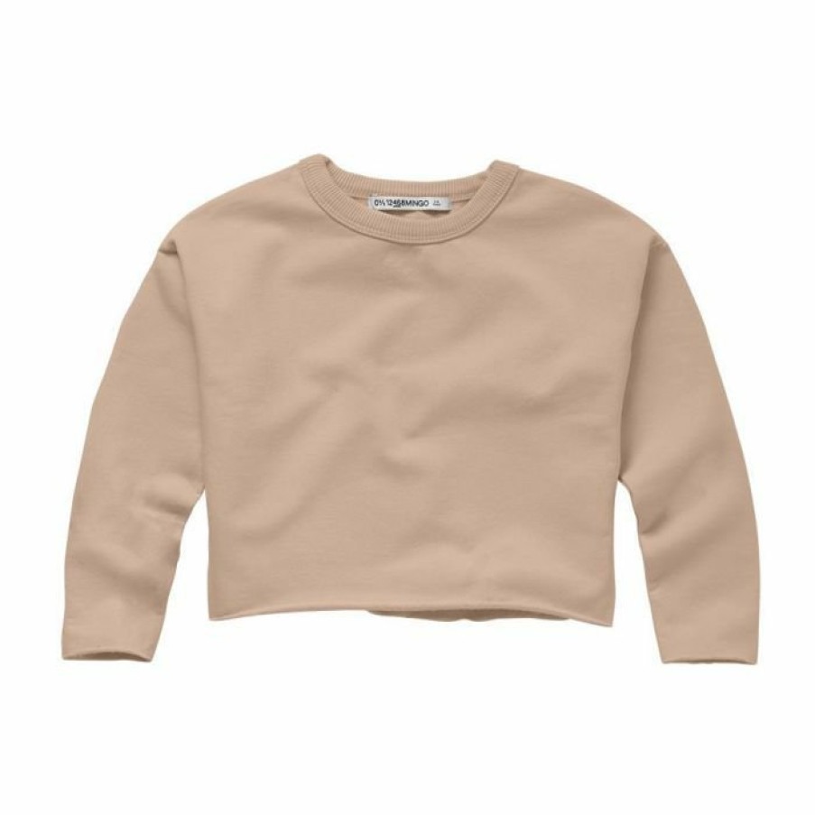 Clothing Mingo | Mingo Boxy Sweater Rose Grey